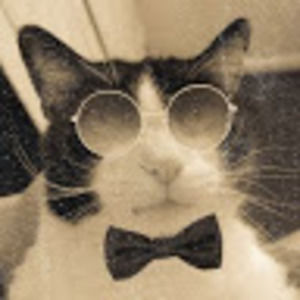 Meet your Posher, Micah